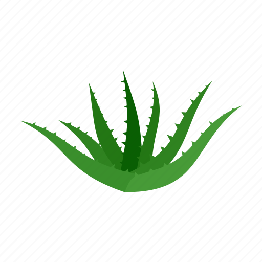 Aloe, green, plant, pot, vera, white icon - Download on Iconfinder