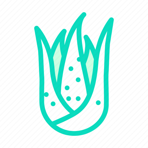 Green, aloe, vera, plant, nature, leaf icon - Download on Iconfinder