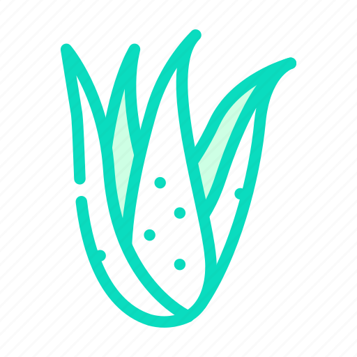 Plant, aloe, vera, nature, green, leaf icon - Download on Iconfinder