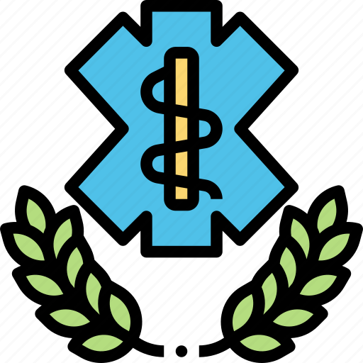 Paramedic, badge, cross, medical, healthcare icon - Download on Iconfinder