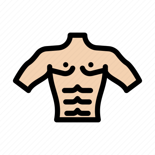 Abs, gym, fitness, bodybuilder, medical icon - Download on Iconfinder