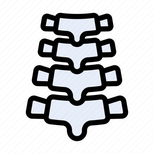 Backbone, spine, organ, medical, healthcare icon - Download on Iconfinder