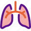 health, lungs, medicine, organ 