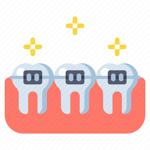 Anatomy, braces, dental, teeth icon - Download on Iconfinder