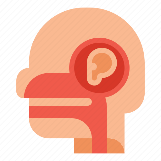 And, e, ear, n, nose, t, throat icon - Download on Iconfinder