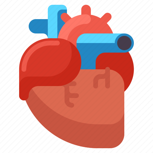Anatomy, health, heart, medical icon - Download on Iconfinder
