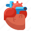 anatomy, health, heart, medical 