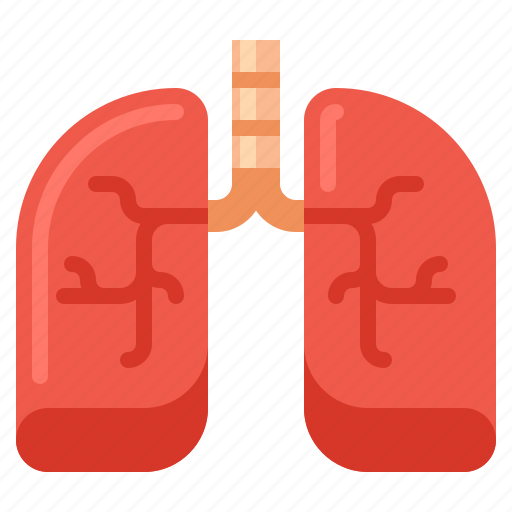 Anatomy, health, lungs, medical icon - Download on Iconfinder
