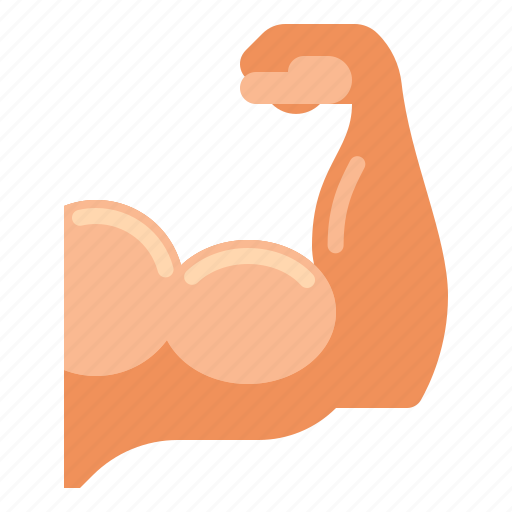 Anatomy, health, medical, muscles icon - Download on Iconfinder