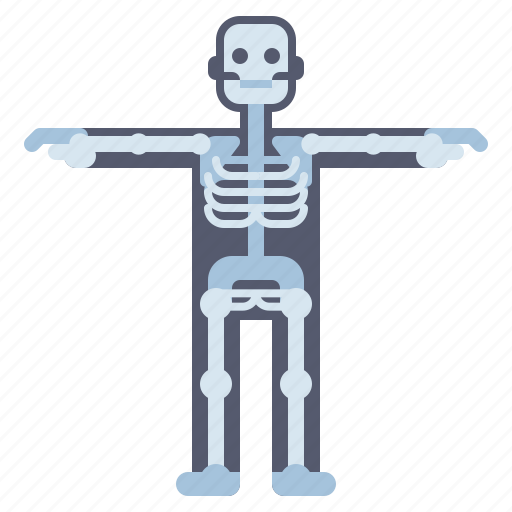 Anatomy, health, medical, skeletal, system icon - Download on Iconfinder