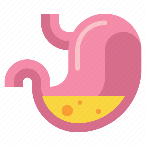 Anatomy, health, medical, stomach icon - Download on Iconfinder