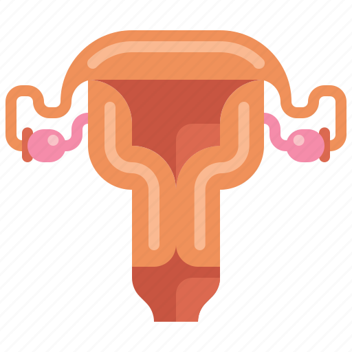 Anatomy, health, medical, uterus icon - Download on Iconfinder