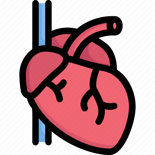 A heart, anatomy, biology, cardiology, human, organ, surgery icon - Download on Iconfinder
