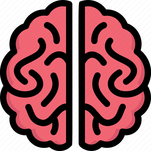 Anatomy, biology, brain full face, mind, neuroscience, organ, surgery icon - Download on Iconfinder