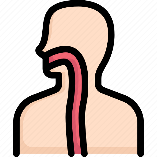 Anatomy, biology, esophagus, organ, surgery, throat, virus icon - Download on Iconfinder