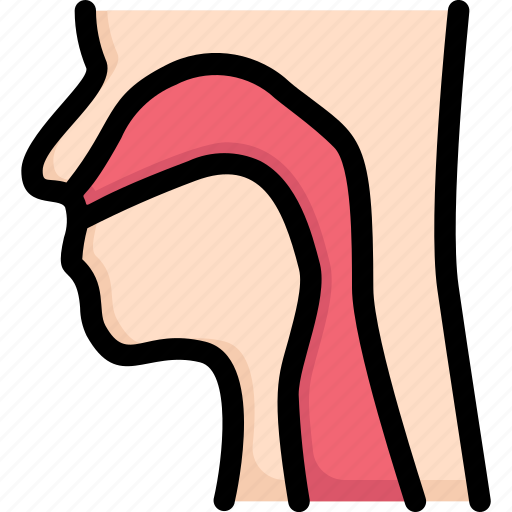 Anatomy, biology, organ, pharynx, surgery, throat, tongue icon - Download on Iconfinder