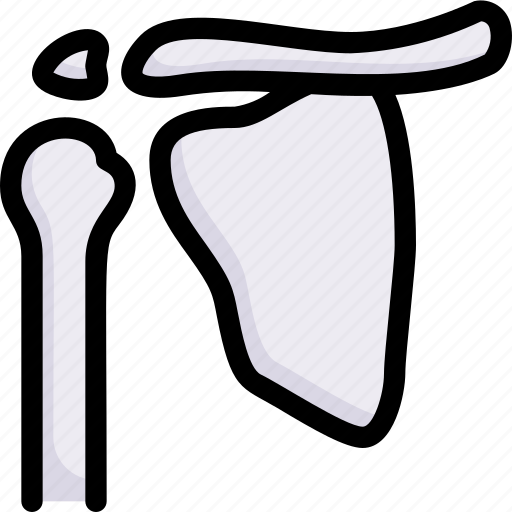 Anatomy, arm, biology, bone, organ, shoulder blade, surgery icon - Download on Iconfinder