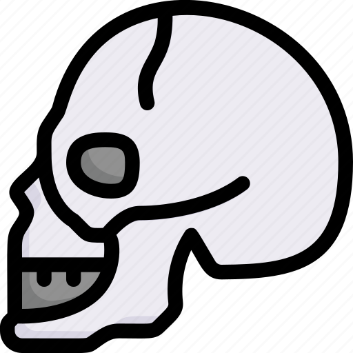 Anatomy, biology, head, organ, skeleton, skull side, surgery icon - Download on Iconfinder