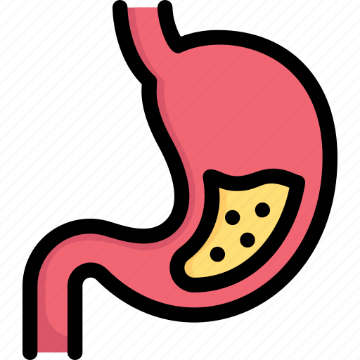 Anatomy, biology, digestion, gastroenterology, organ, stomach, surgery icon - Download on Iconfinder