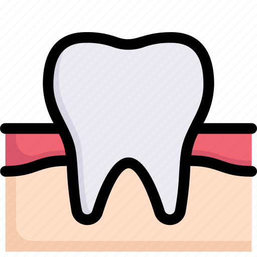 Anatomy, biology, dental, dentist, organ, surgery, teeth and gums icon - Download on Iconfinder