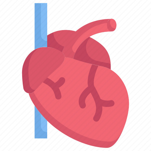 A heart, anatomy, biology, cardiology, human, organ, surgery icon - Download on Iconfinder