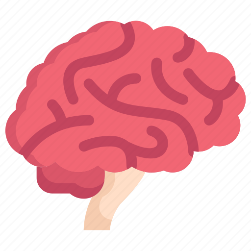 Anatomy, biology, brain side, mind, neuroscience, organ, surgery icon - Download on Iconfinder