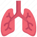 anatomy, biology, breath, lungs, organ, pulmonology, surgery