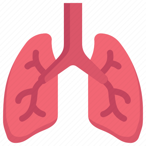 Anatomy, biology, breath, lungs, organ, pulmonology, surgery icon - Download on Iconfinder
