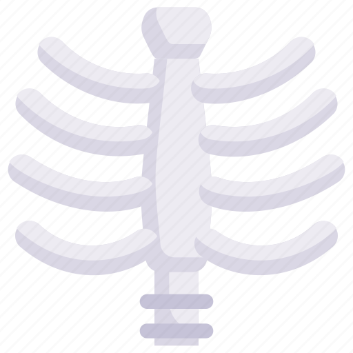 Anatomy, biology, chest, organ, ribs, skeleton, surgery icon - Download on Iconfinder