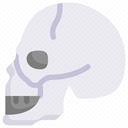 Anatomy, biology, head, organ, skeleton, skull side, surgery icon - Download on Iconfinder