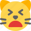 cat, weary, emoticons, animal 