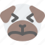 pug, sad, squinting, emoticons, animal 