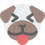 pug, tongue, squinting, emoticons, animal 