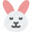 rabbit, smiling, closed, eyes, emoticons, animal 