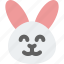 rabbit, smiling, emoticons, animal 