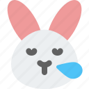rabbit, snoring, emoticons, animal