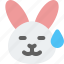 rabbit, sweat, emoticons, animal 