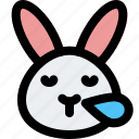 rabbit, snoring, cute, emoticon, animal