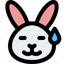 rabbit, sweat, emoticons, animal