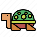 amphibian, animal, armature, turtle 