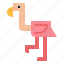 animal, bird, flamingo, wildlife 