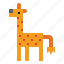 giraffe, life, mammal, wild, zoo 