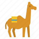 animal, camel, desert, kingdom, zoo
