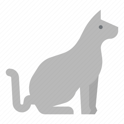 Animal, cat, feline, kitty, pet icon - Download on Iconfinder
