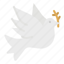 bird, dove, peace, pigeon, wedding