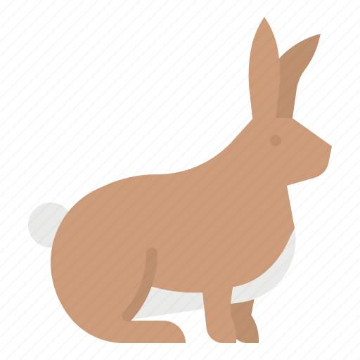 Animals, bunny, rabbit, wild, zoo icon - Download on Iconfinder