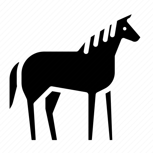 Animals, horse, mammal, wild, zoo icon - Download on Iconfinder