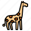 animal, giraffe, life, wild, zoo 