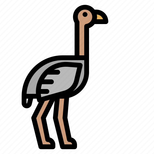 Bird, fast, ostrich, wildlife, zoo icon - Download on Iconfinder