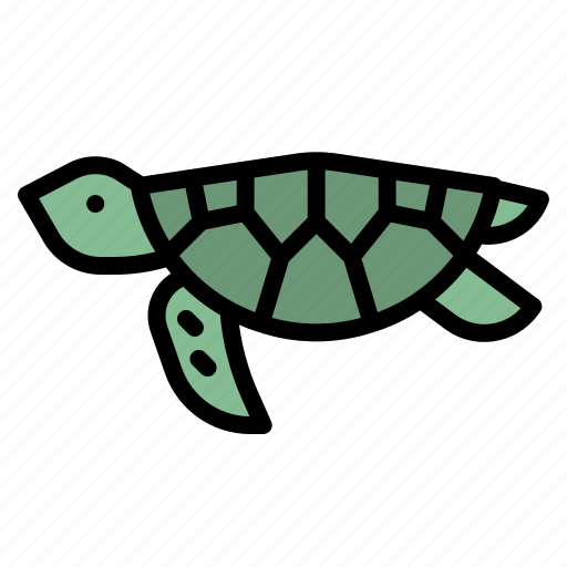Animal, aquarium, sea, turtle, zoo icon - Download on Iconfinder